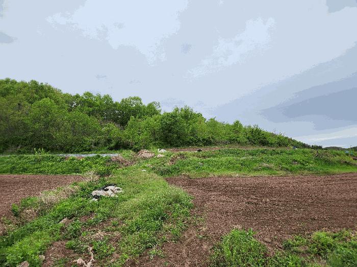 경상남도 창녕군 남지읍 성사리 1299 전 경매 사진 5