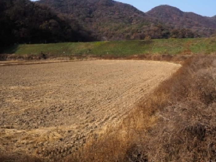 경상남도 밀양시 초동면 봉황리 1115-2 답 경매 사진 10