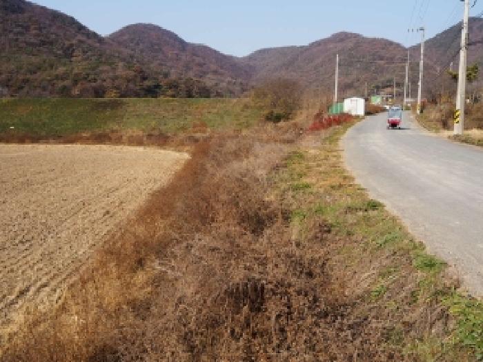 경상남도 밀양시 초동면 봉황리 1170-4 답 경매 사진 11