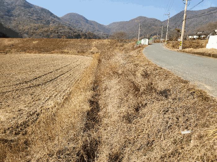 경상남도 밀양시 초동면 봉황리 1170-4 답 경매 사진 4