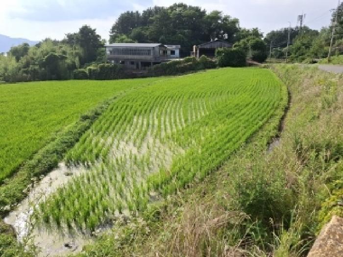 경상남도 남해군 답