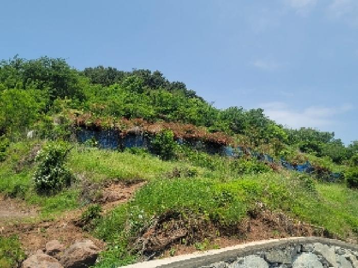 경상남도 거제시 연초면 오비리 677-8 답 경매 사진 10