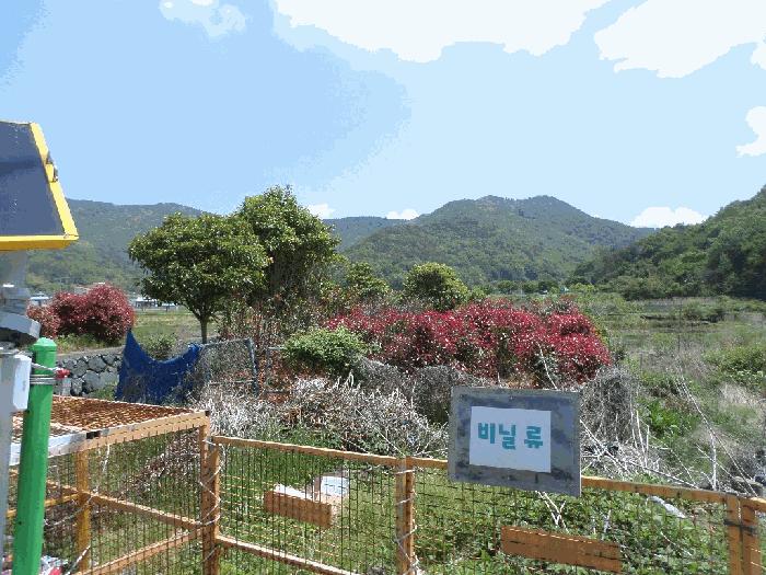 경상남도 거제시 연초면 오비리 677-8 답 경매 사진 2