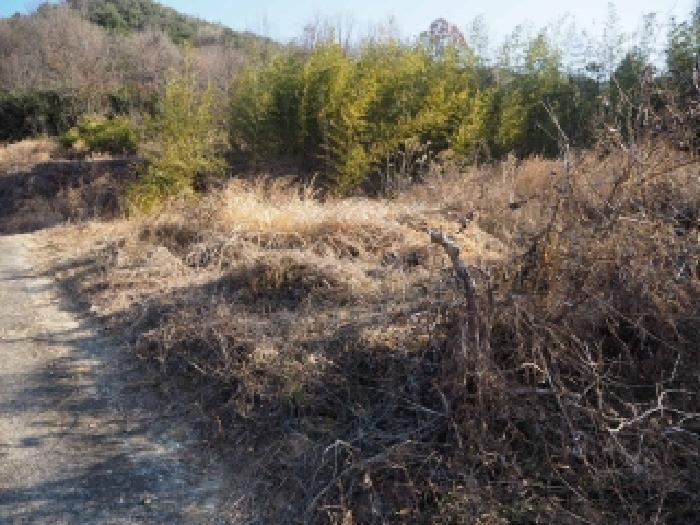 경상남도 밀양시 단장면 안법리 695 전 경매 사진 10