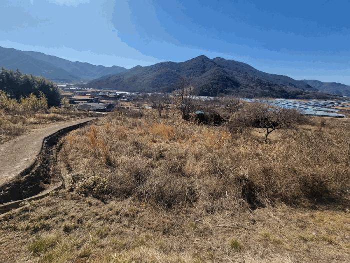 경상남도 밀양시 단장면 안법리 695 전 경매 사진 3