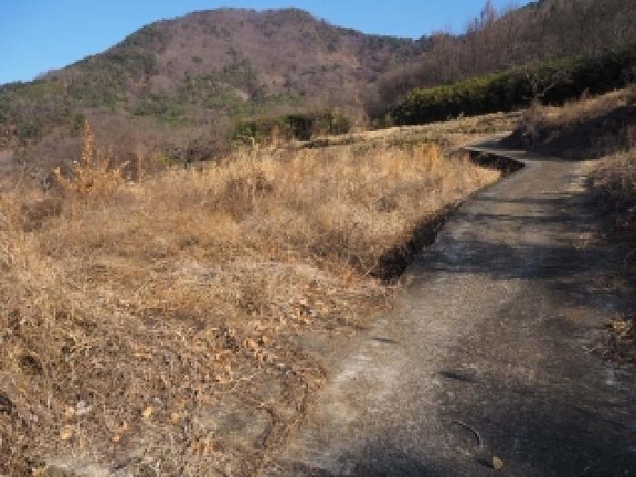 경상남도 밀양시 단장면 안법리 695 전 경매 사진 5