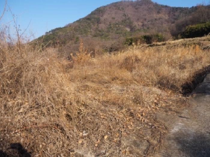 경상남도 밀양시 단장면 안법리 695 전 경매 사진 6