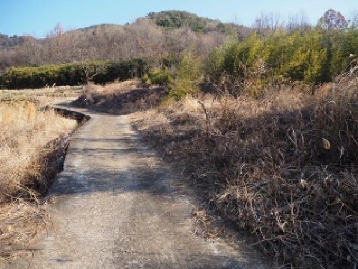 경상남도 밀양시 단장면 안법리 695 전 경매 사진 7