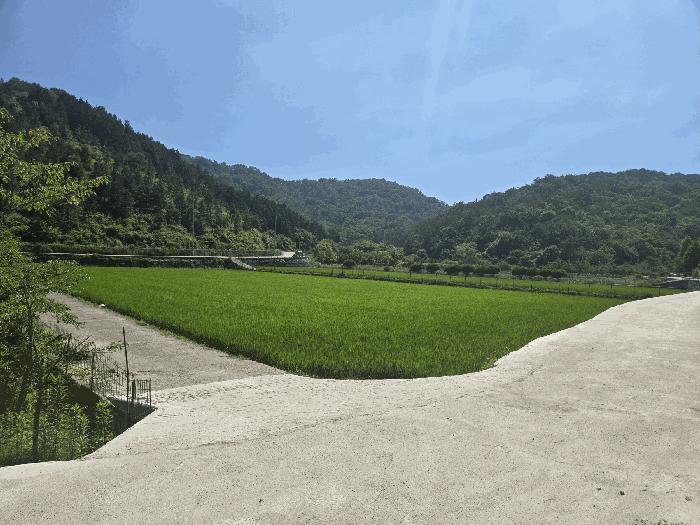 경상남도 진주시 판문동 산136-2 임야 경매 사진 3