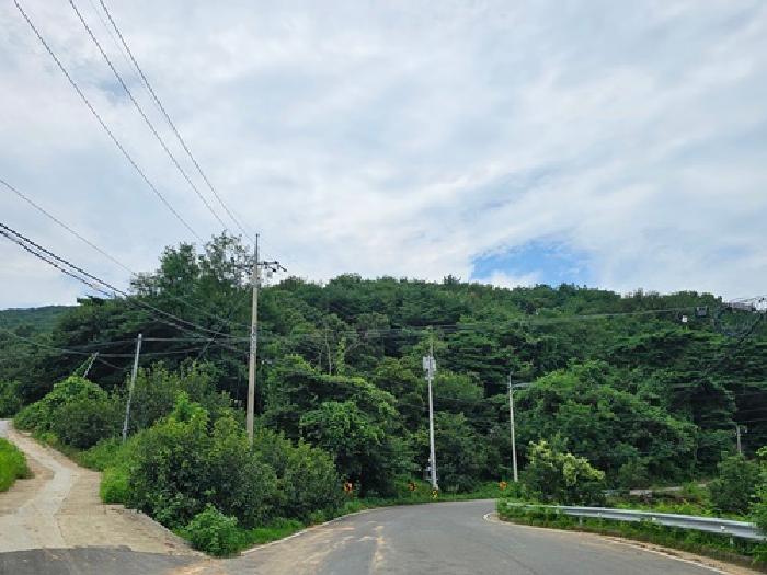 경상남도 산청군 신안면 갈전리 산155-7 임야 경매 사진 5