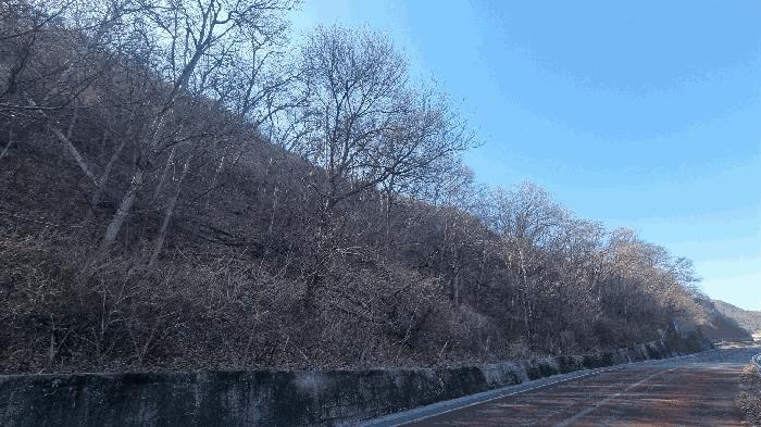 경상남도 밀양시 활성동 산54-9 임야 경매 사진 2