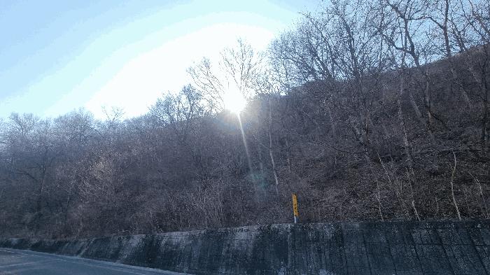 경상남도 밀양시 활성동 산54-9 임야 경매 사진 5