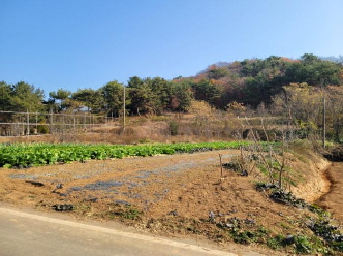 전라남도 고흥군 과역면 노일리 631 전 경매 사진 11