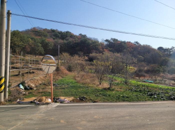 전라남도 고흥군 과역면 노일리 631 전 경매 사진 12
