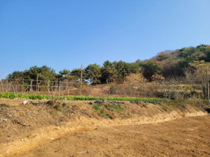전라남도 고흥군 과역면 노일리 631 전 경매 사진 13