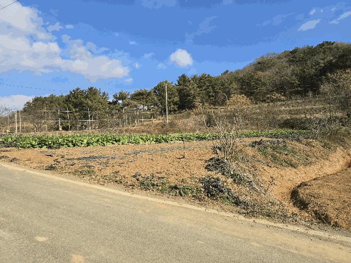 전라남도 고흥군 과역면 노일리 631 전 경매 사진 6