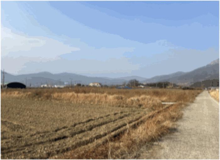전라남도 순천시 낙안면 교촌리 1051-1 답 경매 사진 3