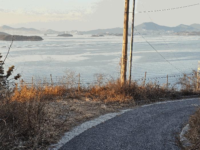 전라남도 여수시 돌산읍 평사리 1006-16 임야 경매 사진 1