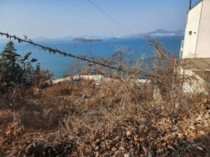 전라남도 여수시 돌산읍 평사리 1006-16 임야 경매 사진 10