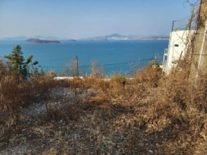 전라남도 여수시 돌산읍 평사리 1006-16 임야 경매 사진 11