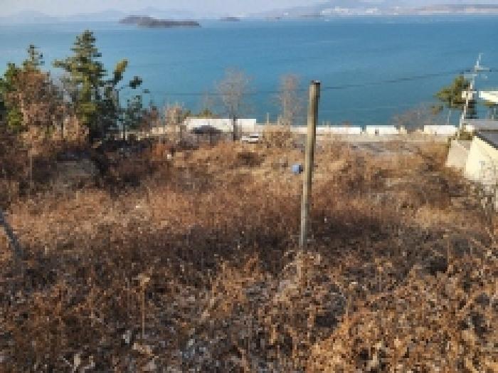 전라남도 여수시 돌산읍 평사리 1006-16 임야 경매 사진 12