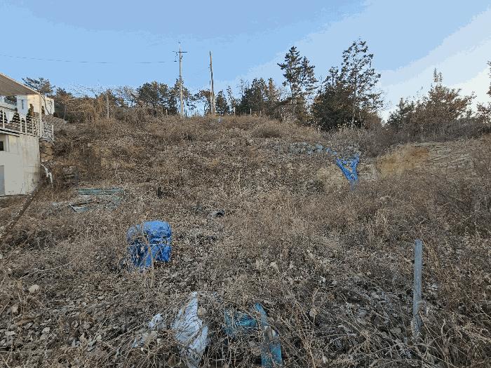 전라남도 여수시 돌산읍 평사리 1006-16 임야 경매 사진 2