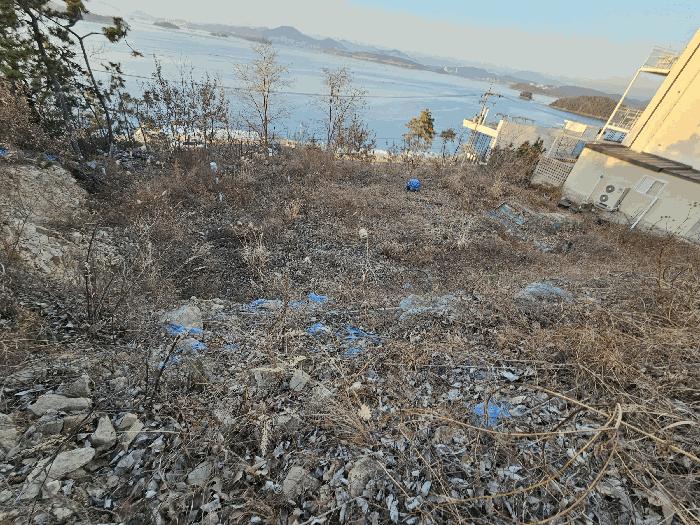 전라남도 여수시 돌산읍 평사리 1006-16 임야 경매 사진 5