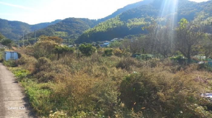 경상남도 거제시 하청면 하청리 465 답 경매 사진 10