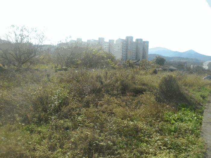 경상남도 거제시 하청면 하청리 465 답 경매 사진 5