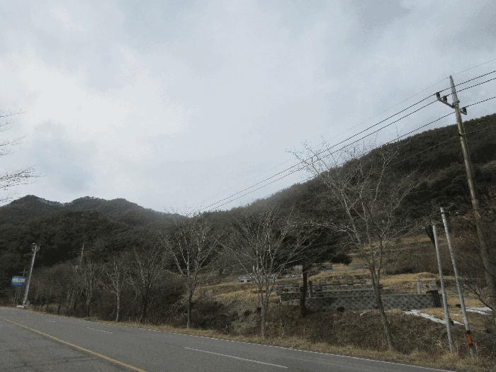 전라남도 순천시 주암면 운룡리 산306 임야 경매 사진 1