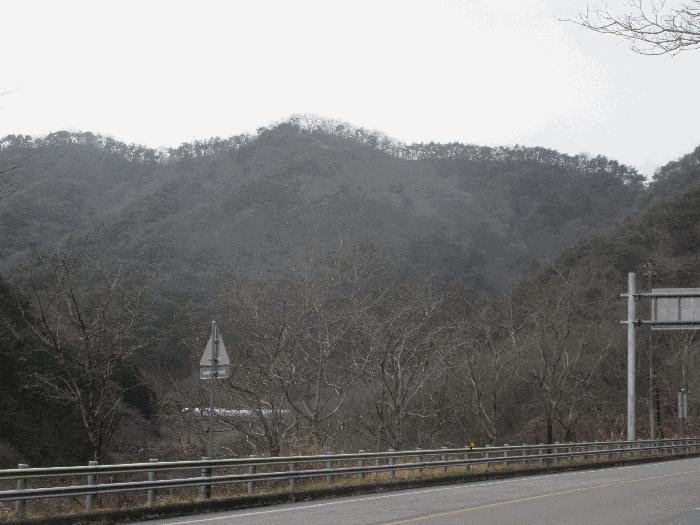 전라남도 순천시 주암면 운룡리 산306 임야 경매 사진 2