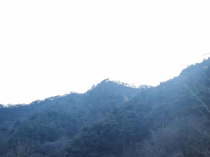 전라남도 순천시 주암면 운룡리 산306 임야 경매 사진 3