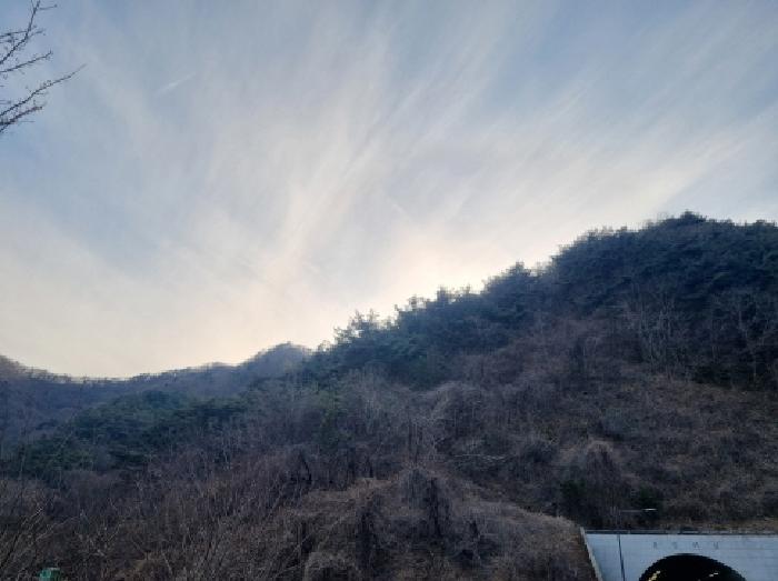 전라남도 순천시 주암면 운룡리 산306 임야 경매 사진 4