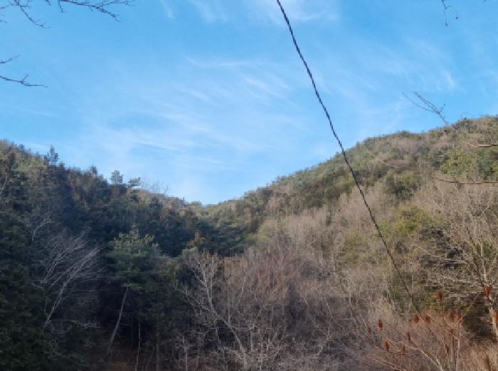 전라남도 순천시 주암면 운룡리 산306 임야 경매 사진 5