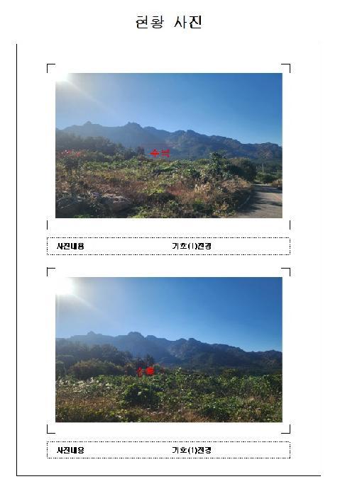 전라남도 영암군 영암읍 개신리 306-8 전 경매 사진 10