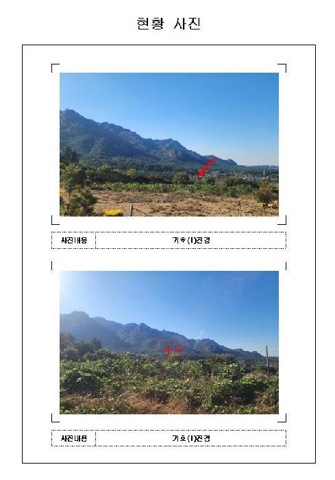 전라남도 영암군 영암읍 개신리 306-8 전 경매 사진 9