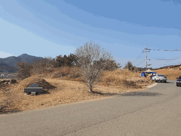 전라남도 여수시 화양면 용주리 산119 임야 경매 사진 1