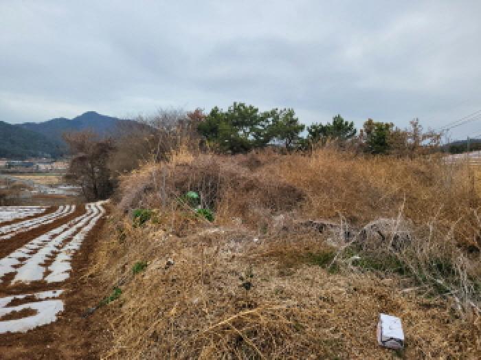 전라남도 여수시 화양면 용주리 산119 임야 경매 사진 13