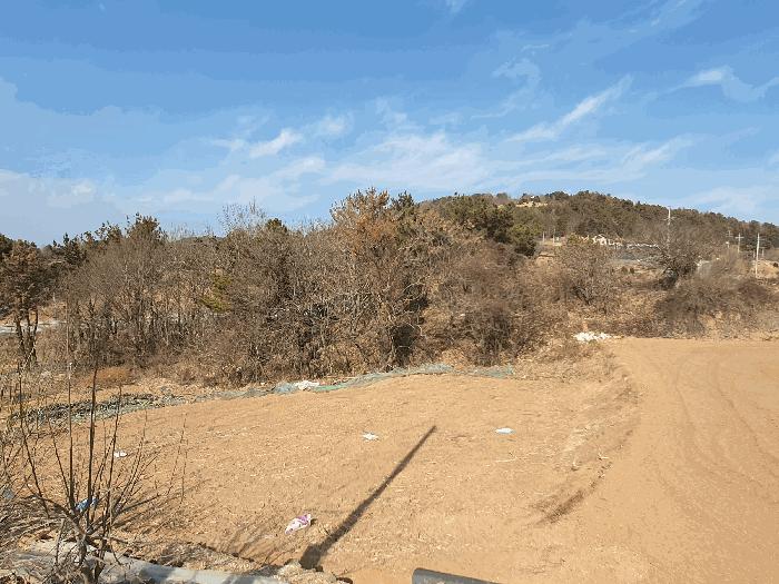 전라남도 여수시 화양면 용주리 산119 임야 경매 사진 2