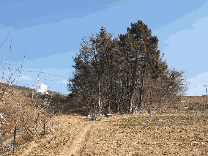 전라남도 여수시 화양면 용주리 산119 임야 경매 사진 3
