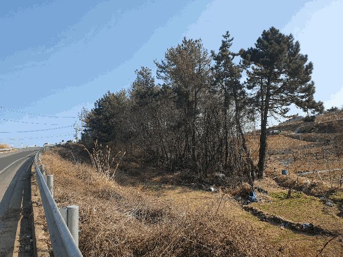 전라남도 여수시 화양면 용주리 산119 임야 경매 사진 7