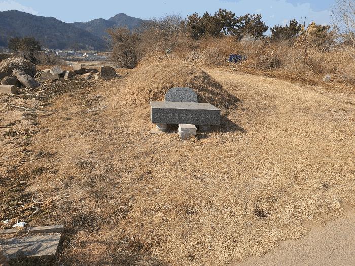 전라남도 여수시 화양면 용주리 산119 임야 경매 사진 8