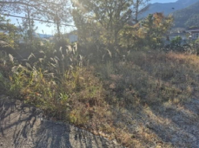 경상남도 고성군 거류면 신용리 969-3 대지 경매 사진 18