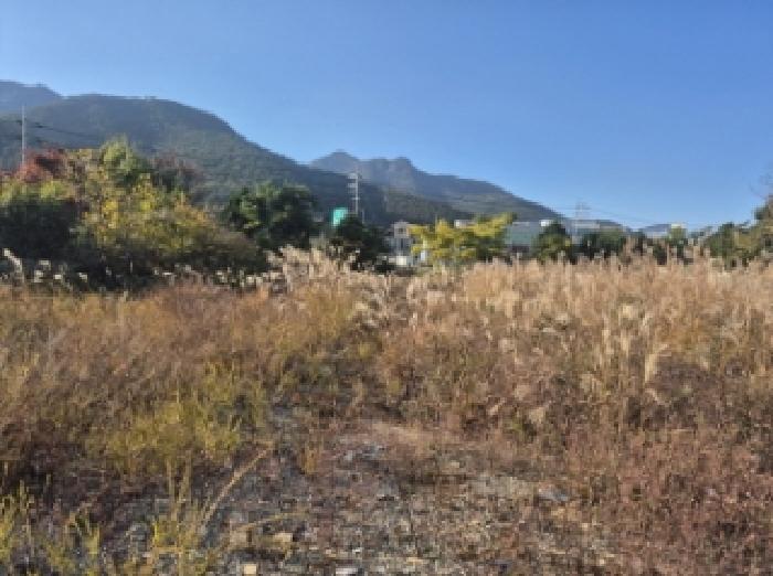 경상남도 고성군 거류면 신용리 969-3 대지 경매 사진 20