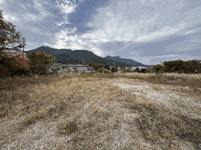 경상남도 고성군 거류면 신용리 969-3 대지 경매 사진 4