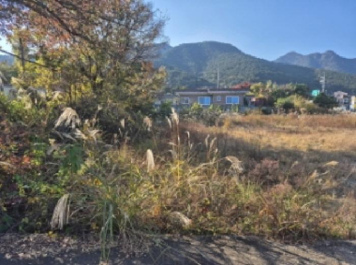 경상남도 고성군 거류면 신용리 969-3 대지 경매 사진 7