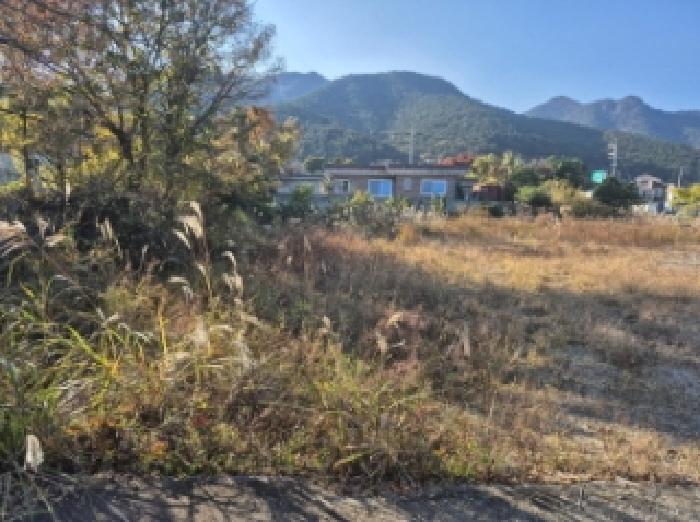 경상남도 고성군 거류면 신용리 969-3 대지 경매 사진 8