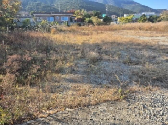 경상남도 고성군 거류면 신용리 969-3 대지 경매 사진 9