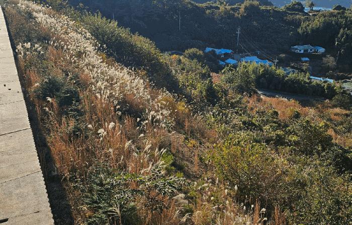 경상남도 통영시 도산면 도선리 산273-13 임야 경매 사진 1