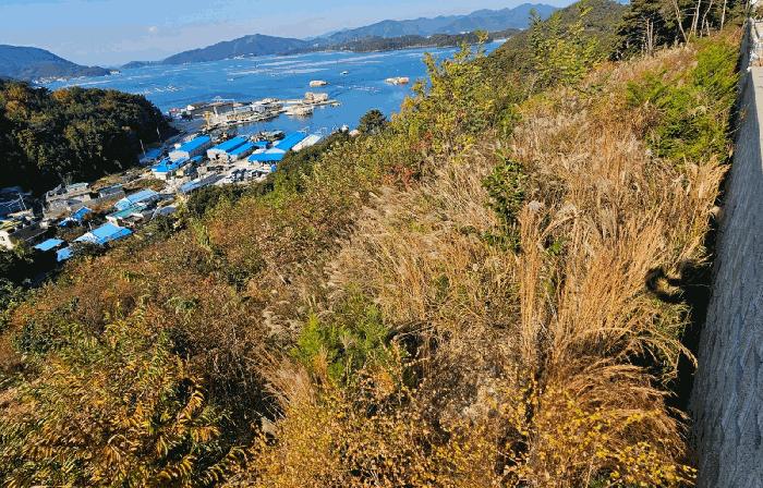 경상남도 통영시 도산면 도선리 산273-13 임야 경매 사진 3